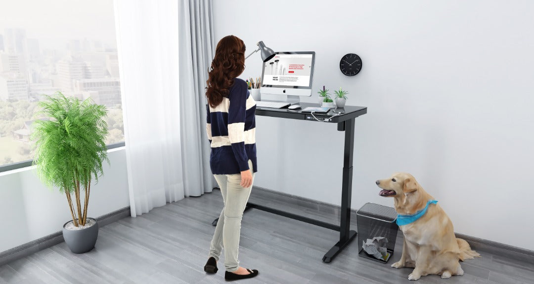 ET118-N GlassTabletop Electric Height Adjustable Standing Desk