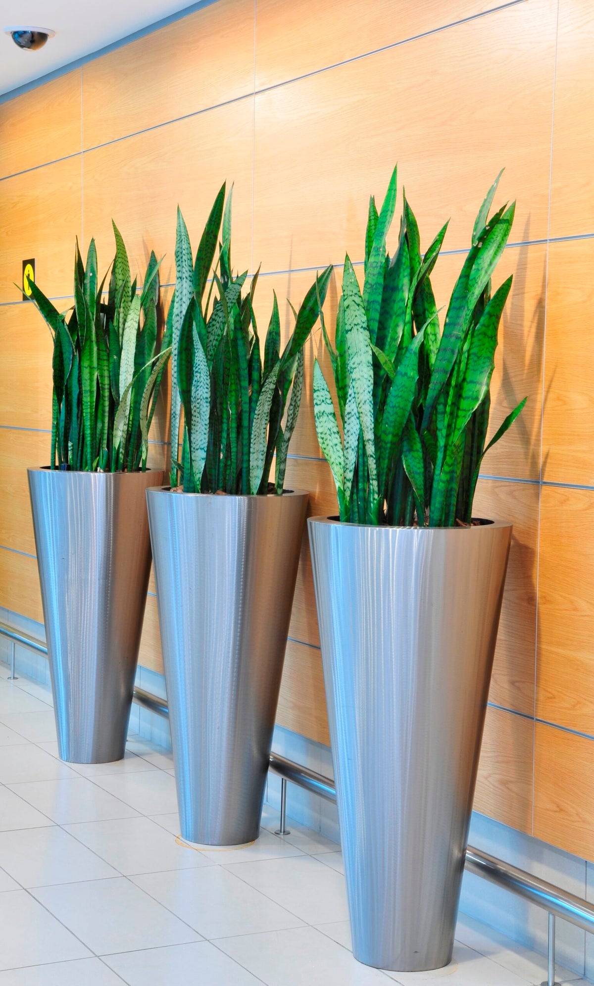 brushed stainless steel pots
